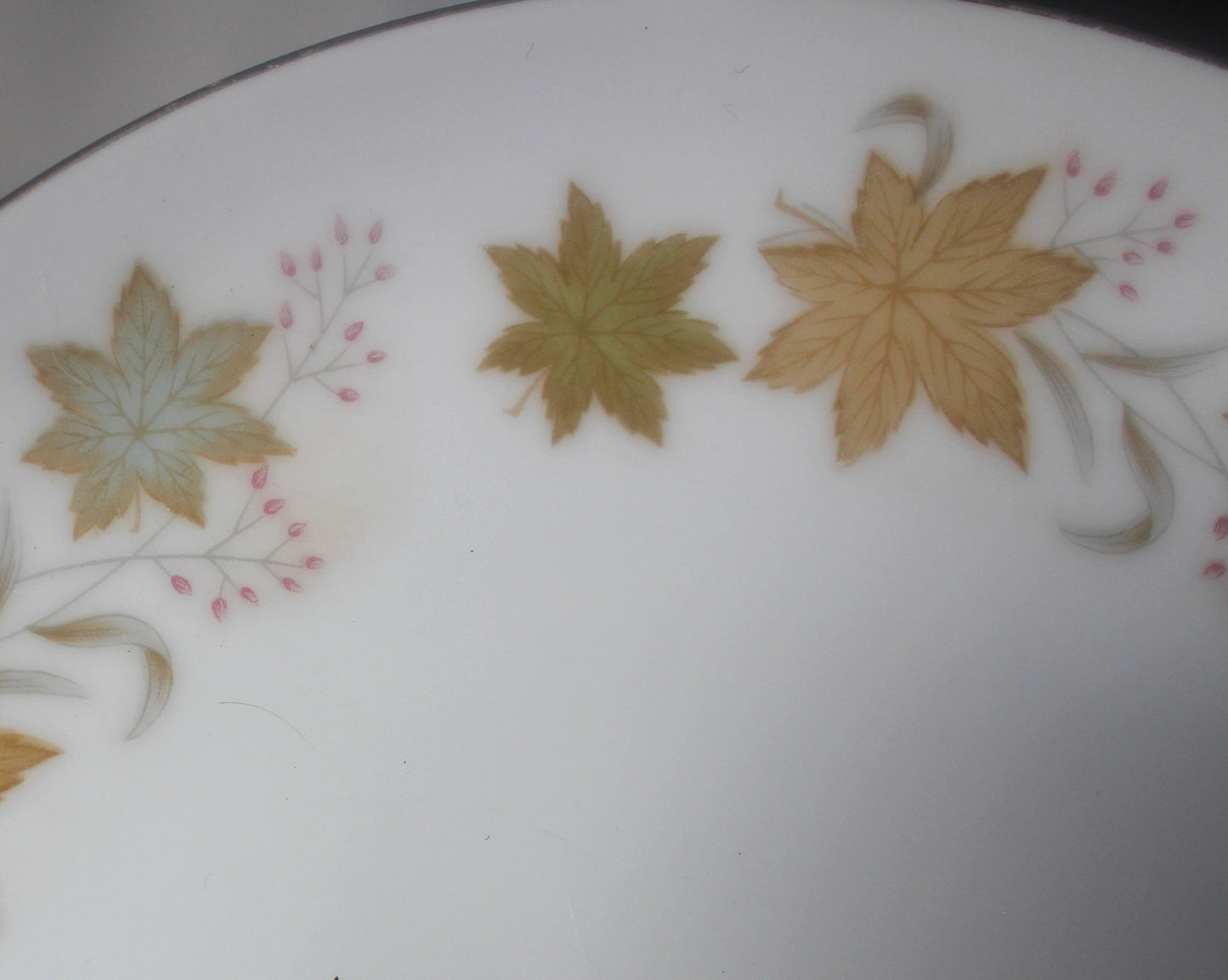 Lovely Fine China Gayle 3842 1970-1979